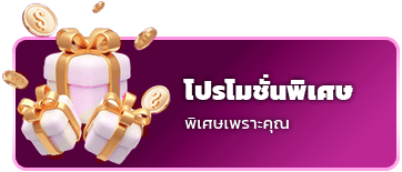 โปรโมชั่นพิเศษ